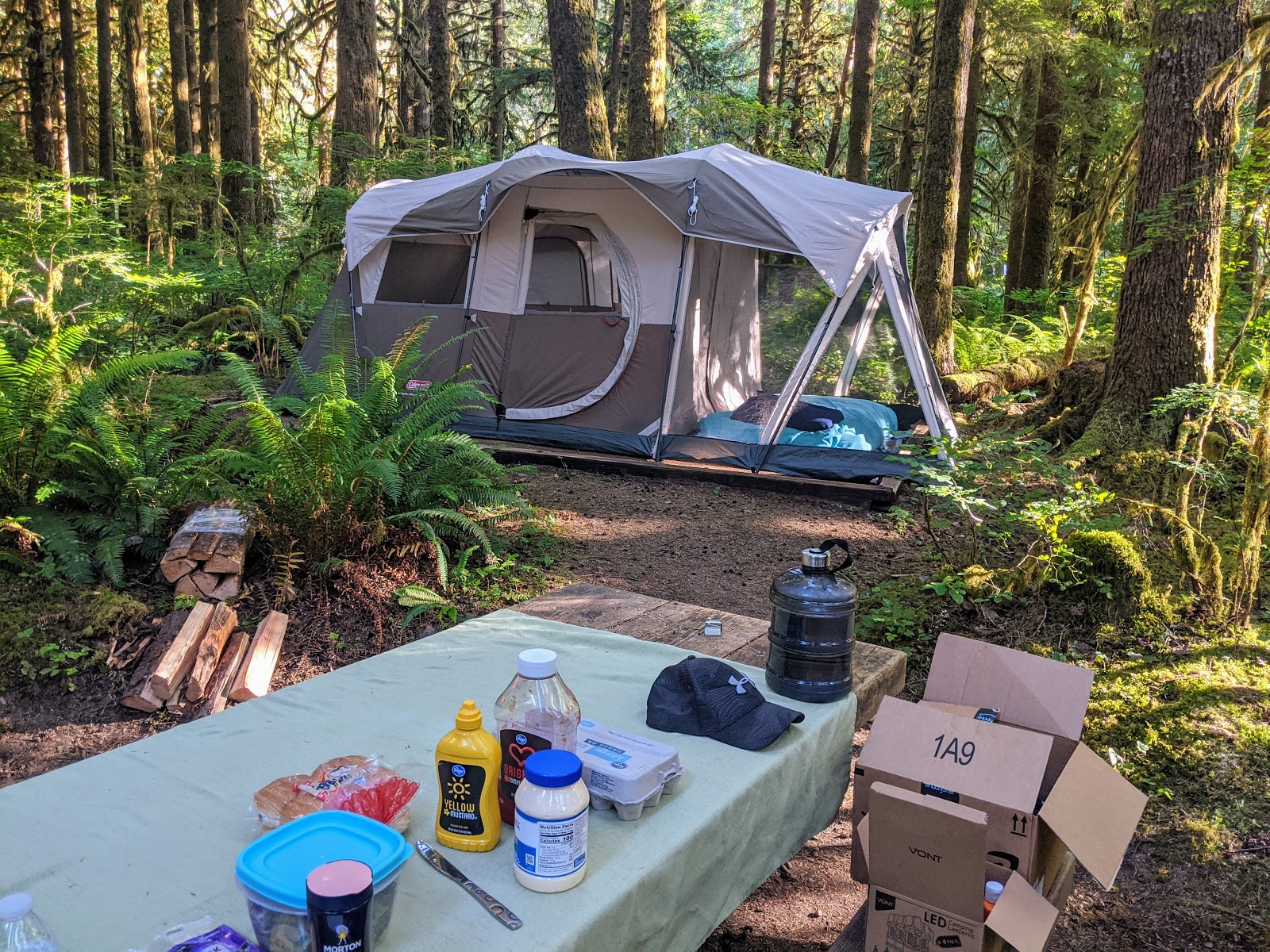 Mt Baker-Snoqualmie/Gold Basin