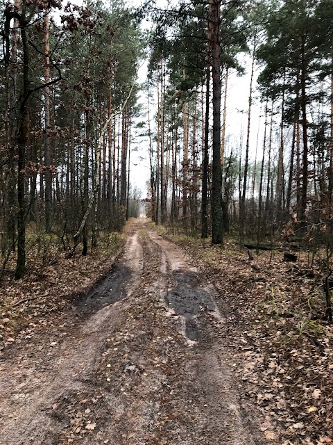 Міжрічинський регіональний ландшафтний парк