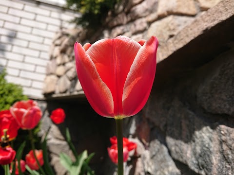 Обласний драматичний театр ім. Сагайдачного