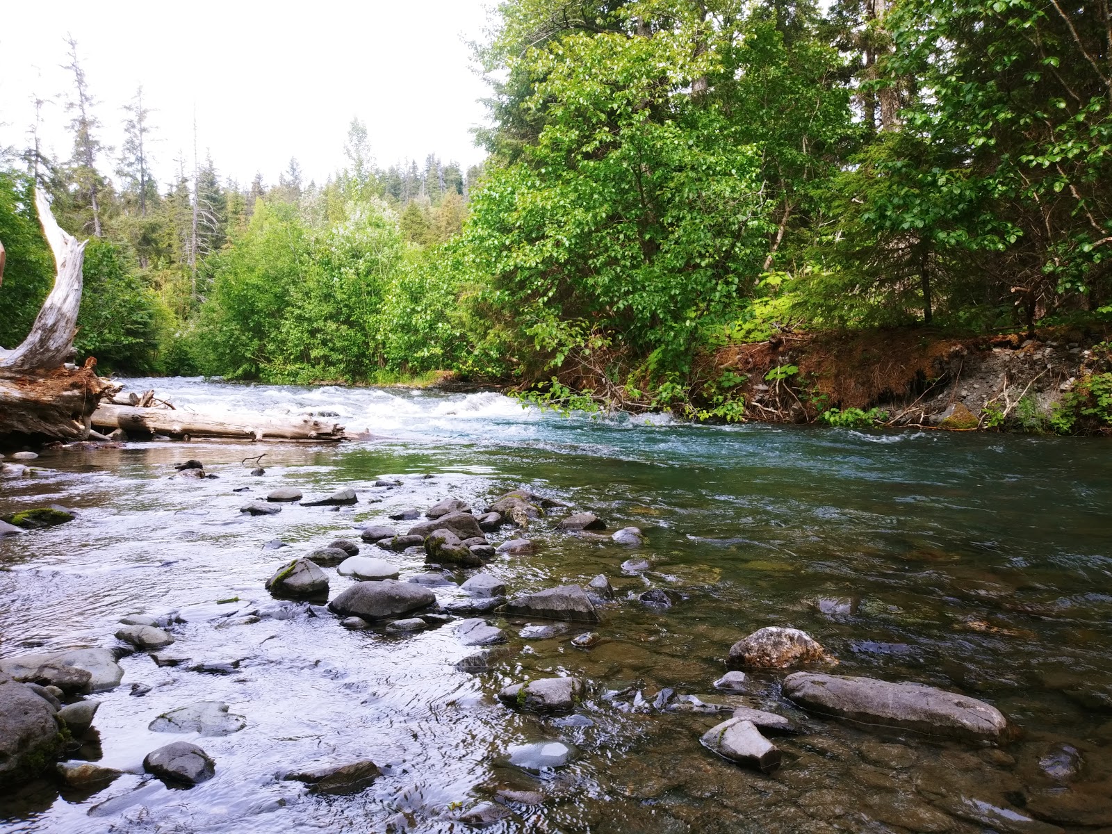 Chugach/Ptarmigan Creek