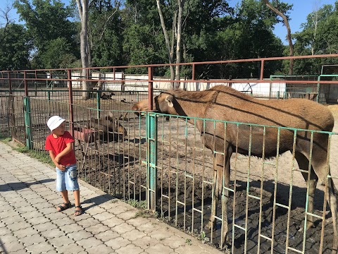 Три ведмеді