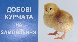 Ветаптека