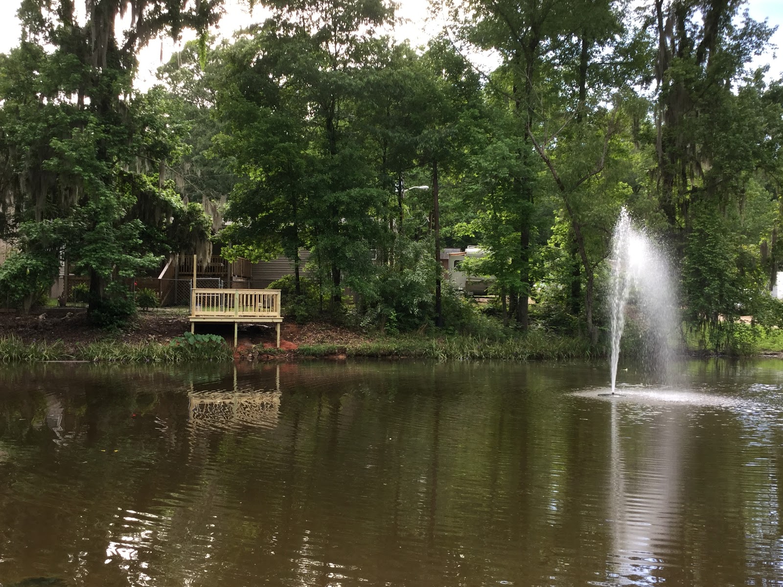 Peaceful Pines RV Park & Campground