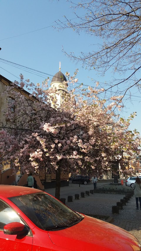 ЕКСКУРСІЯ, МКП