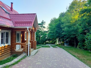 Черепаха Степашки