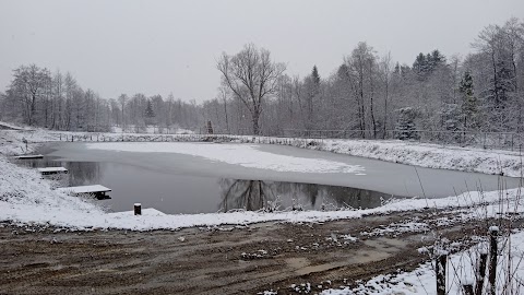 Kryivka u stavka