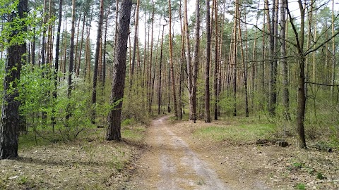 Парк Приозерний