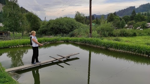 Садиба під соколією