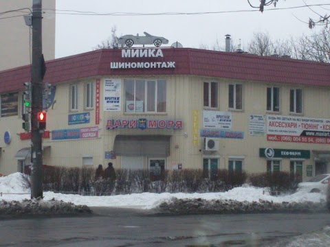 Дари моря