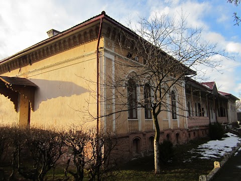 Вижницька ЗОШ-інтернат