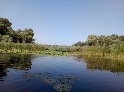 База отдыха «Прогресс»