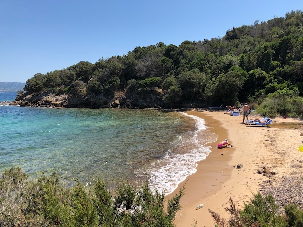 foto della Spiaggia di Punta Cardinalino