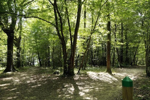 Bois de Margnat