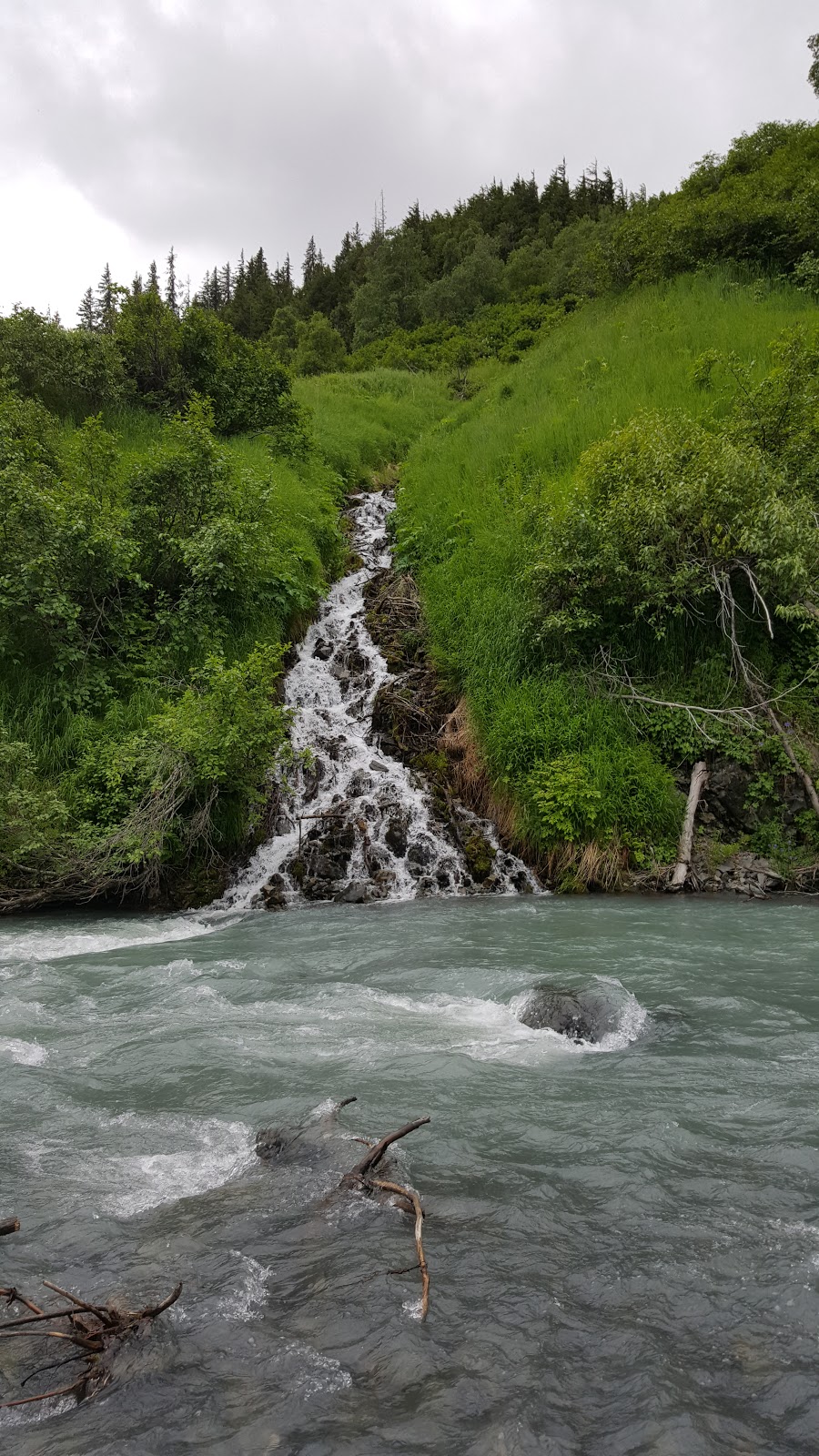 Chugach/Bertha Creek