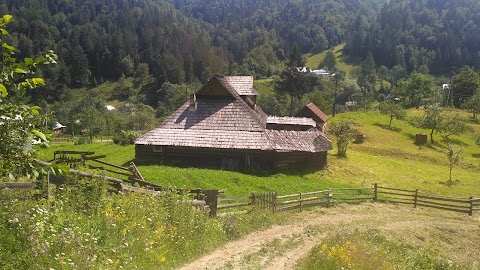 Гражда і ліжникартво пані Василини