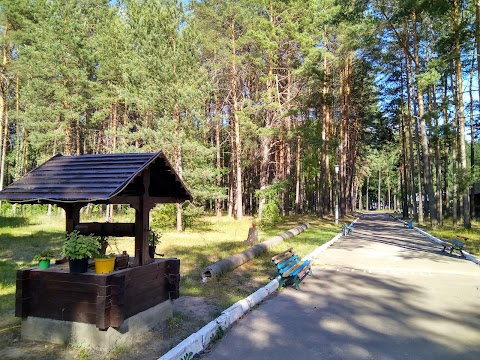 База відпочинку "Політехнік"