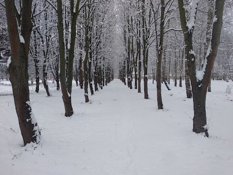 Центральний парк імені Івана Федорова