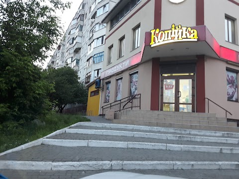 Копійка