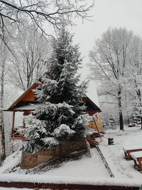 Яремчанські Чани