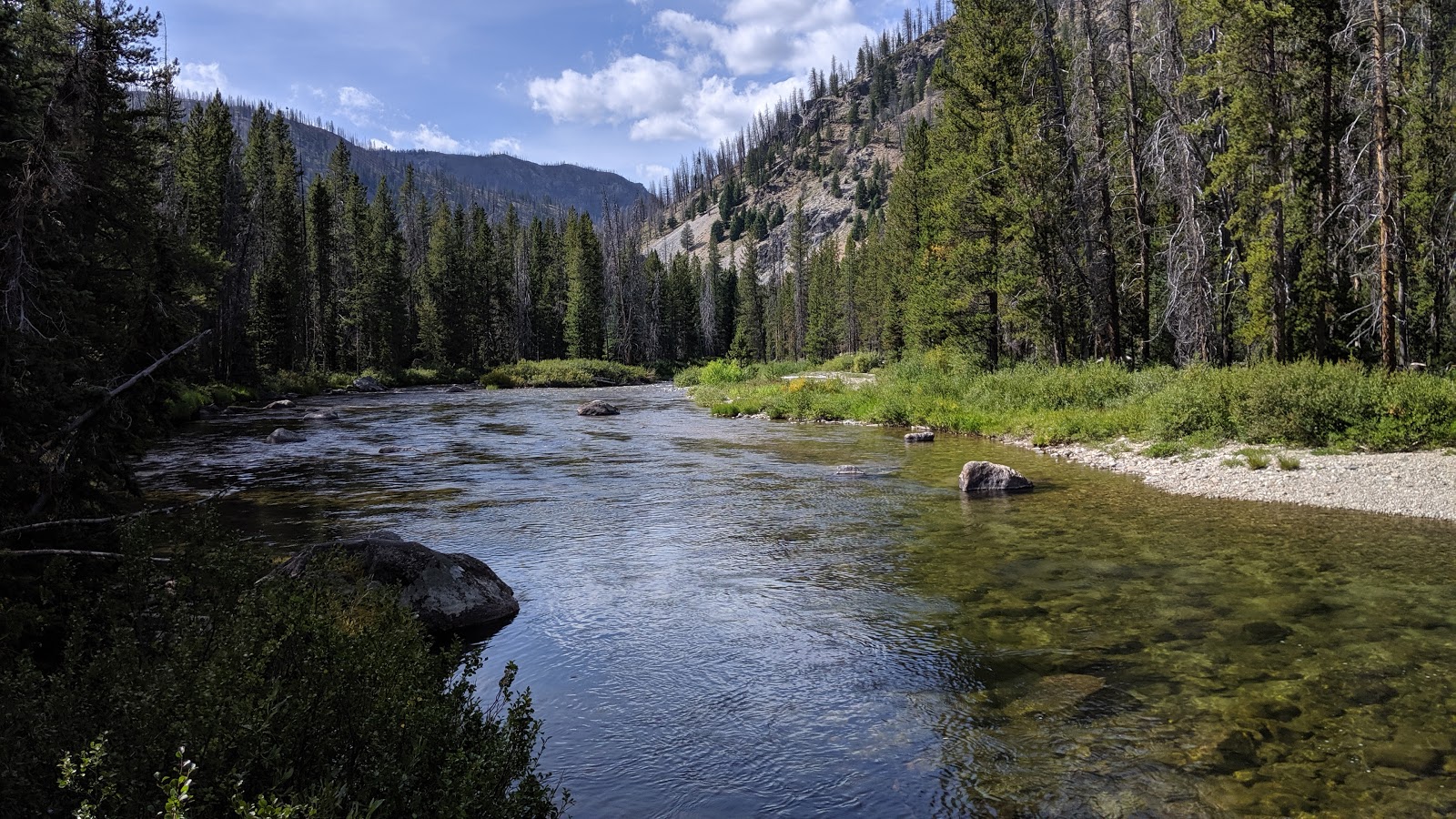 Salmon-Challis/Lola Creek