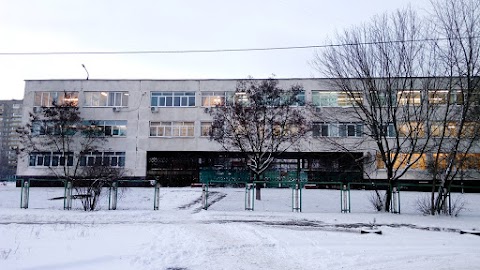 Школа №249