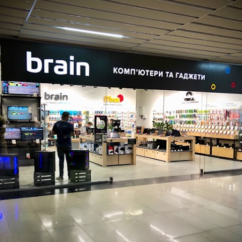 Brain