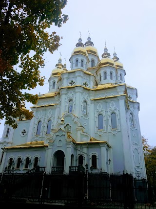 КОШЕЛЬ Т. В., ЧАСТ. НОТАРИУС