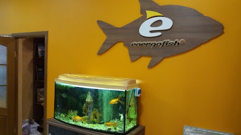 Energofish