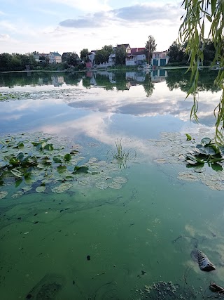 база отдыха Млиново Минэкономики