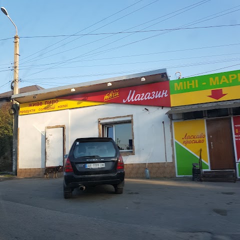 ПРОДУКТОВЫЙ МАГАЗИН