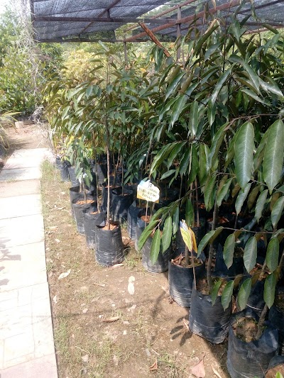 photo of Bumi Hijau Nursery