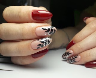 Colibri nails studio