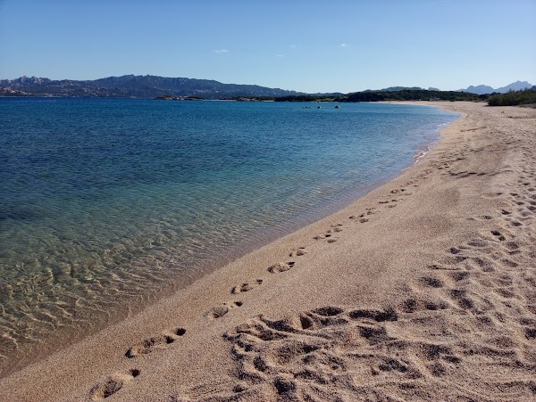 foto della Spiaggia Mannena