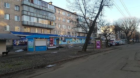 Буревісник