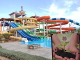 Турагентство All Inclusive (ВСЕ ВКЛЮЧЕНО)