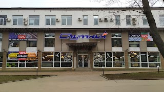 Супутник