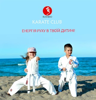 Bushido - каратэ-клуб, Крав -Мага, К-рор, фитнес в Черновцах