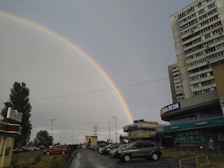 Сінево