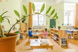 Частный детский сад "Montessori & Me" (бывш. Зеберёнок)