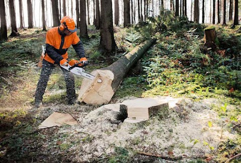 STIHL - Бензопили, мотокоси, газонокосарки - офіційний дилер