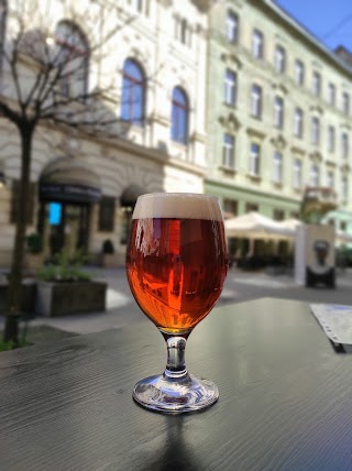 Паб Duben Brau центр