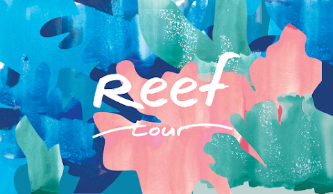 Reef tour