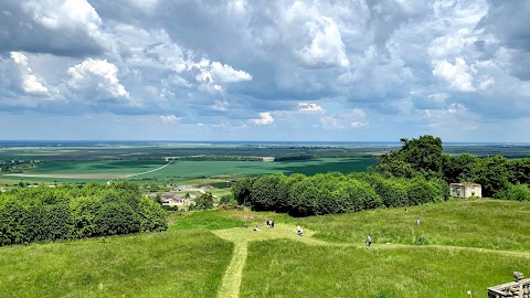 Підгорецький замок