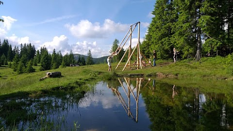 Дерев'яна гойдалка біля ОЗЕРА