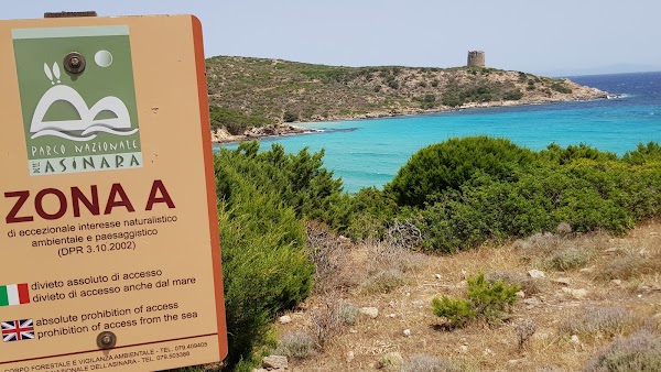 foto della Cala d'Arena Beach