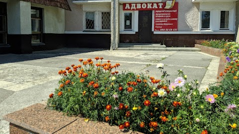 Адвокат