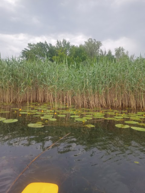 Водно-спортивна станція ХДУ