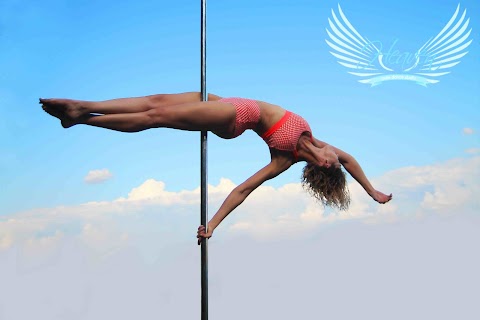 Pole dance studio Pink Heaven Новобеличи