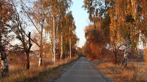 Котеджне містечко "Вишневий хуторок"