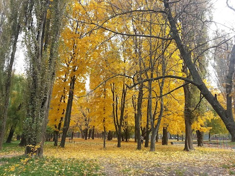 Ліцей Престиж